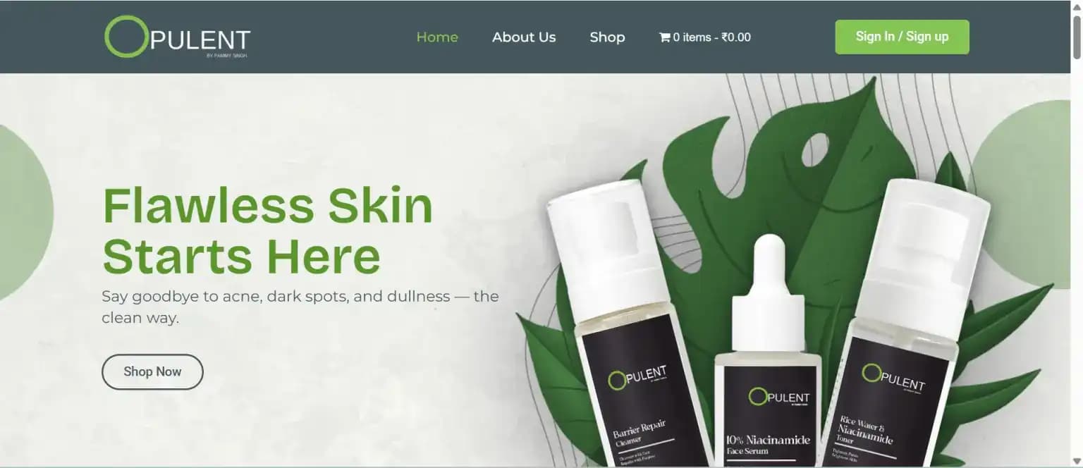 Opulent By Pammi Singh