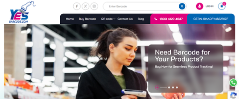 Google Shopping Ads Case Study E-Commerce ROAS